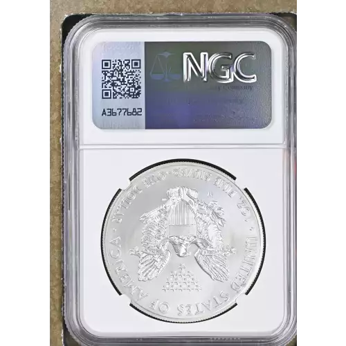 2014 W BURNISHED SILVER EAGLE (3)