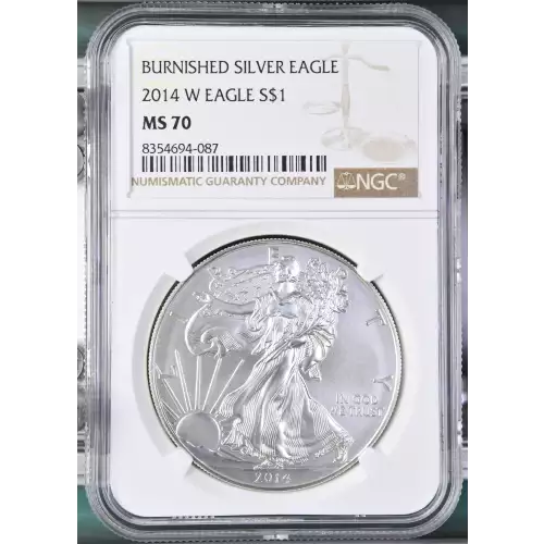 2014 W BURNISHED SILVER EAGLE (2)