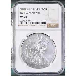 2014 W BURNISHED SILVER EAGLE (2)