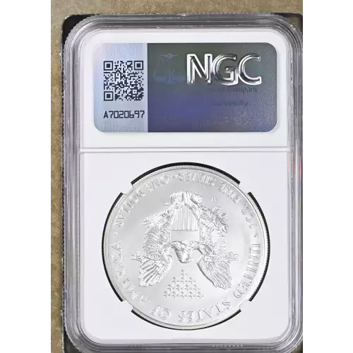 2014 W BURNISHED SILVER EAGLE (3)