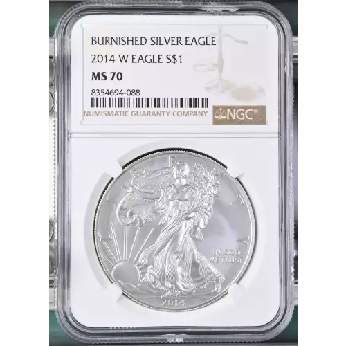 2014 W BURNISHED SILVER EAGLE (2)