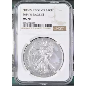 2014 W BURNISHED SILVER EAGLE (2)