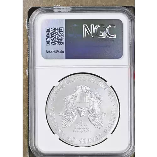 2014 W BURNISHED SILVER EAGLE (3)