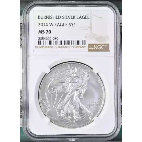 2014 W BURNISHED SILVER EAGLE (2)