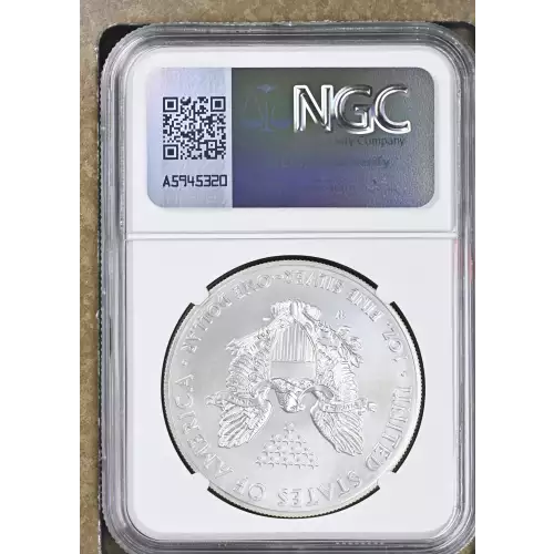 2014 W BURNISHED SILVER EAGLE (3)