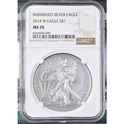 2014 W BURNISHED SILVER EAGLE (2)