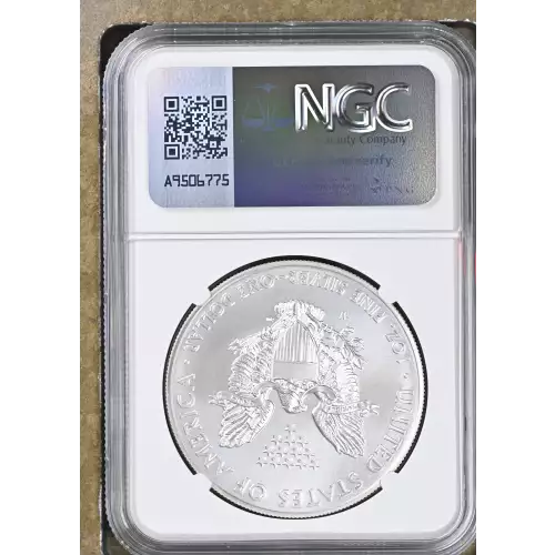2014 W BURNISHED SILVER EAGLE (3)