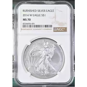 2014 W BURNISHED SILVER EAGLE (2)