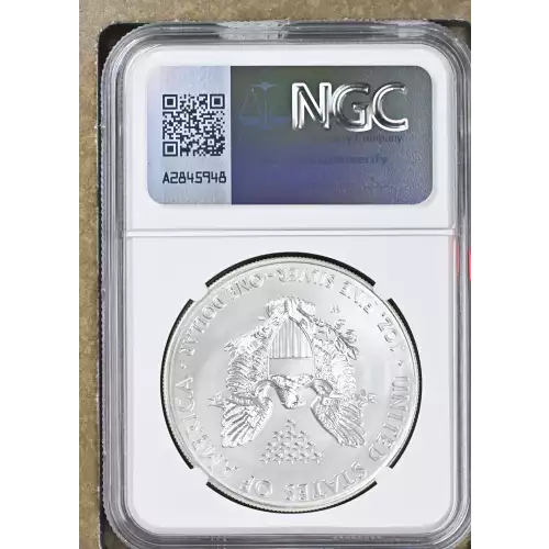 2014 W BURNISHED SILVER EAGLE (3)