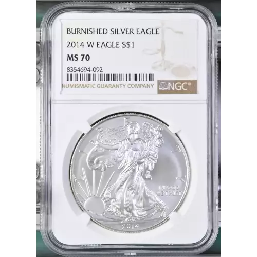 2014 W BURNISHED SILVER EAGLE (2)