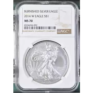 2014 W BURNISHED SILVER EAGLE (2)