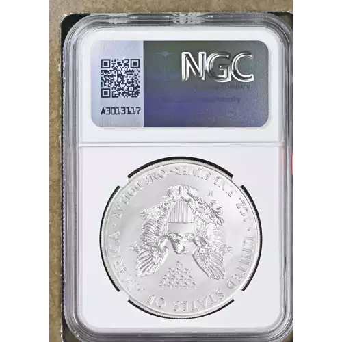 2014 W BURNISHED SILVER EAGLE (3)