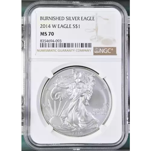 2014 W BURNISHED SILVER EAGLE (2)