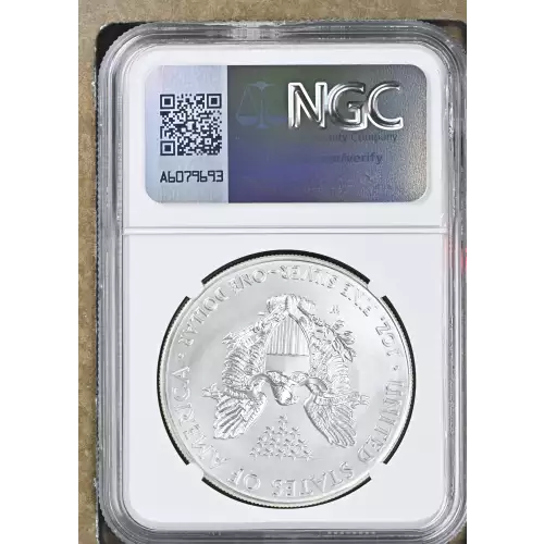 2014 W BURNISHED SILVER EAGLE (3)