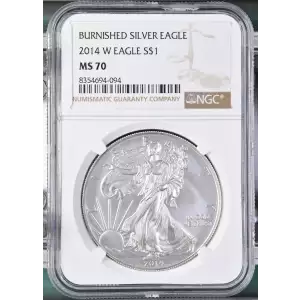 2014 W BURNISHED SILVER EAGLE (2)