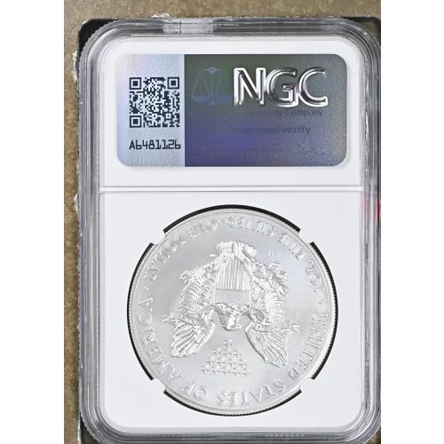 2014 W BURNISHED SILVER EAGLE (3)