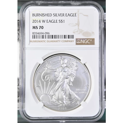 2014 W BURNISHED SILVER EAGLE (2)