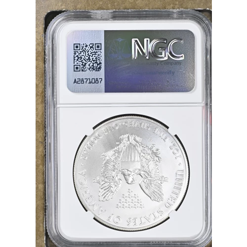 2014 W BURNISHED SILVER EAGLE (3)