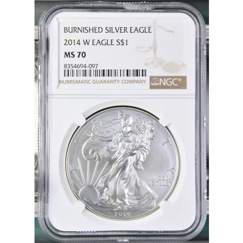 2014 W BURNISHED SILVER EAGLE (2)