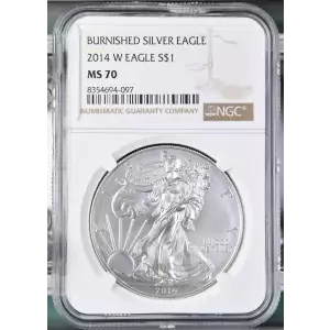 2014 W BURNISHED SILVER EAGLE (2)