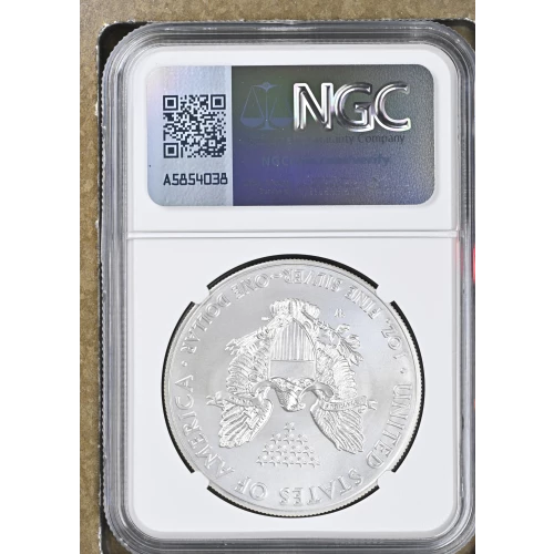 2014 W BURNISHED SILVER EAGLE (3)
