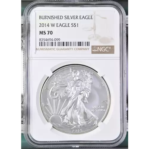 2014 W BURNISHED SILVER EAGLE (2)