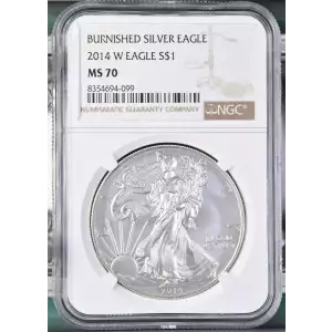 2014 W BURNISHED SILVER EAGLE (2)