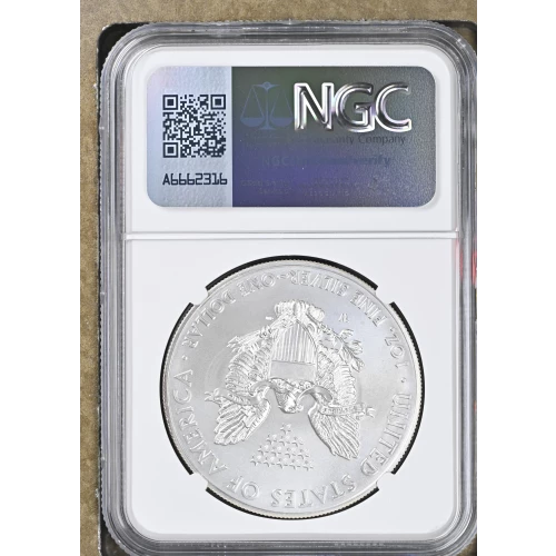 2014 W BURNISHED SILVER EAGLE (3)
