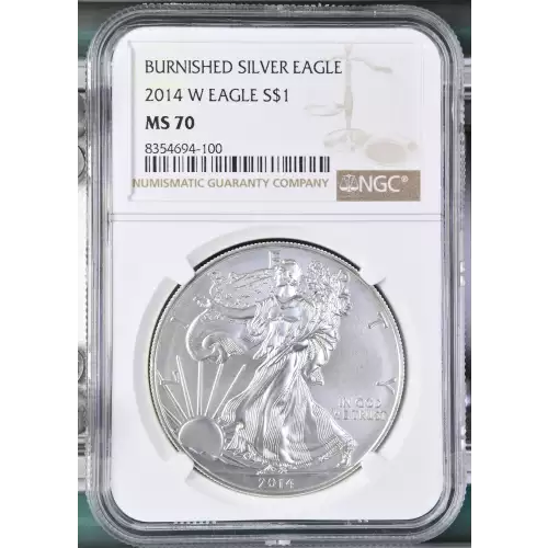 2014 W BURNISHED SILVER EAGLE (2)
