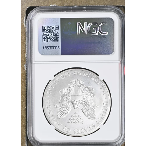 2014 W BURNISHED SILVER EAGLE (3)