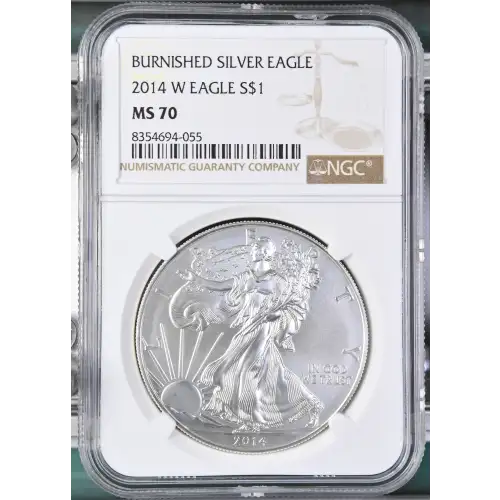 2014 W BURNISHED SILVER EAGLE (2)