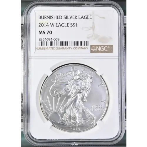 2014 W BURNISHED SILVER EAGLE (2)