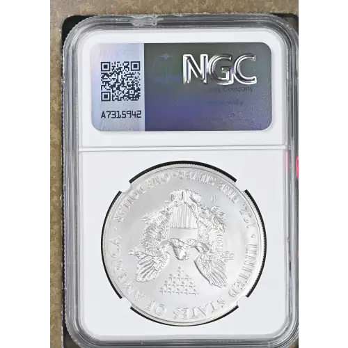 2014 W BURNISHED SILVER EAGLE (3)