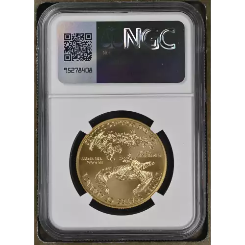 2015 W BURNISHED GOLD EAGLE (3)