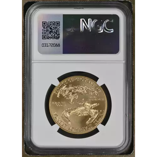 2016 W BURNISHED GOLD EAGLE (3)