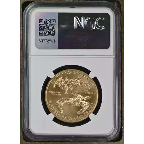2017 W BURNISHED GOLD EAGLE (3)
