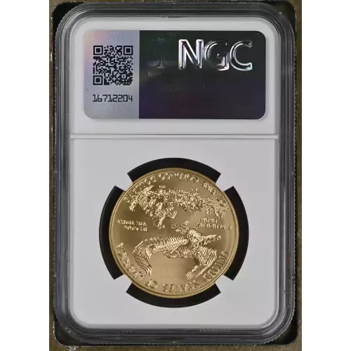 2018 W Burnished Gold Eagle (3)