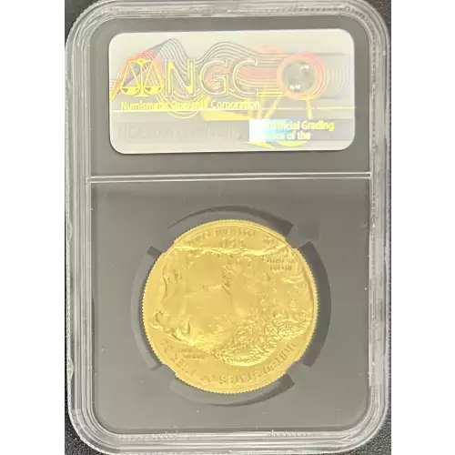 2019 .9999 Fine First Day of Issue (4)