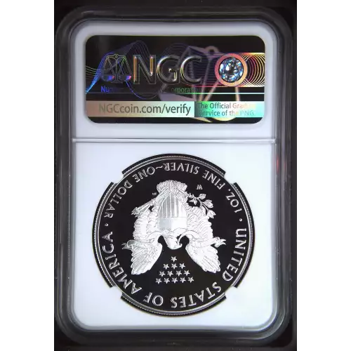 2019 W  ULTRA CAMEO (3)