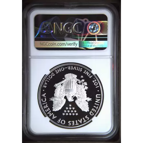 2019 W  ULTRA CAMEO (3)