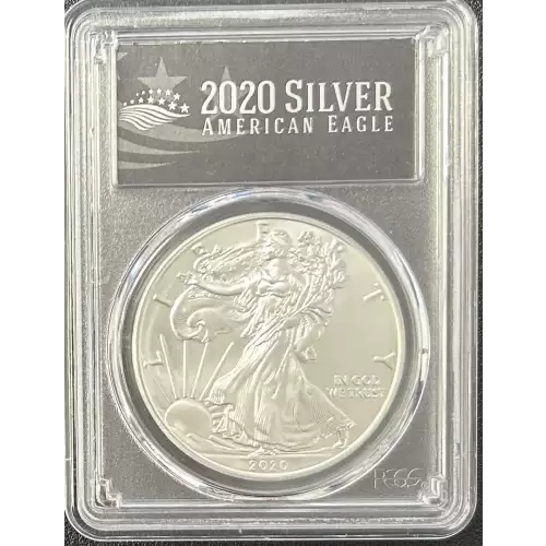 2020 $1 Silver Eagle First Strike
