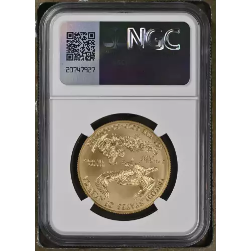 2020 W Burnished Gold Eagle (3)