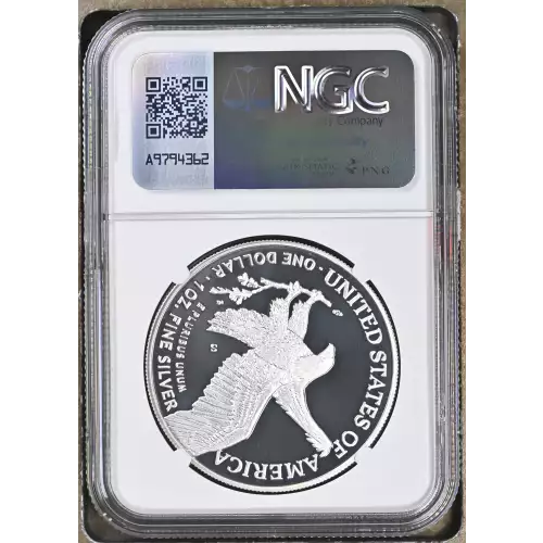 2021 S Eagle Landing T-2 ULTRA CAMEO (3)