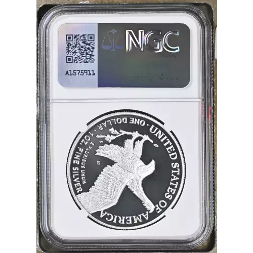 2021 S Eagle Landing T-2 ULTRA CAMEO (3)