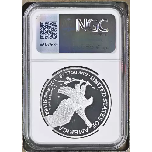 2021 S Eagle Landing T-2 ULTRA CAMEO (3)