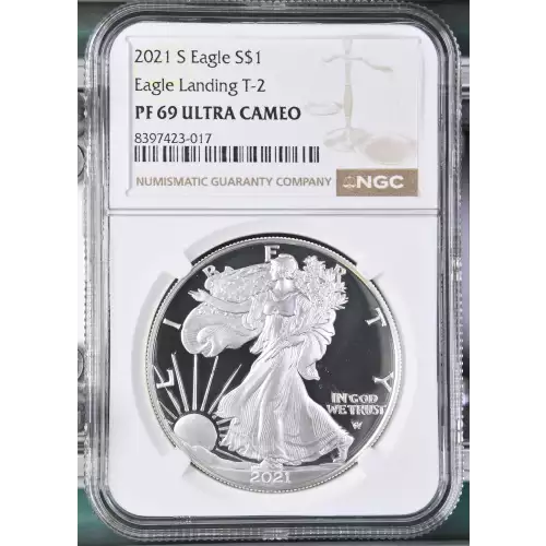 2021 S Eagle Landing T-2 ULTRA CAMEO (2)