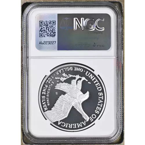 2021 S Eagle Landing T-2 ULTRA CAMEO (3)
