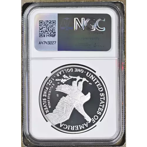 2021 S Eagle Landing T-2 ULTRA CAMEO (3)