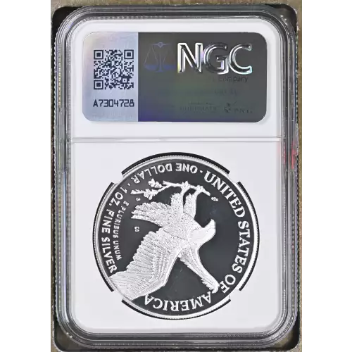 2021 S Eagle Landing T-2 ULTRA CAMEO (3)