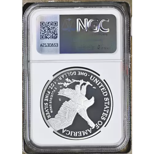 2021 S Eagle Landing T-2 ULTRA CAMEO (3)